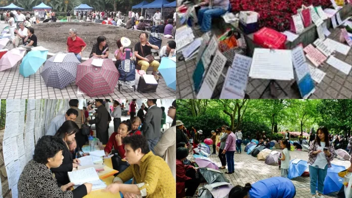 Shanghai Marriage Market
