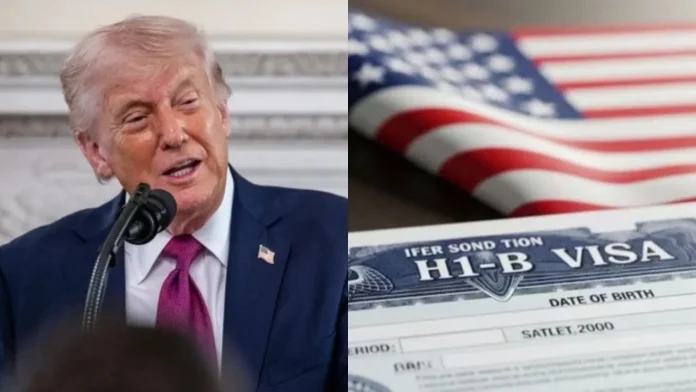 Federal judge voids Trump's H-1B visa requirements