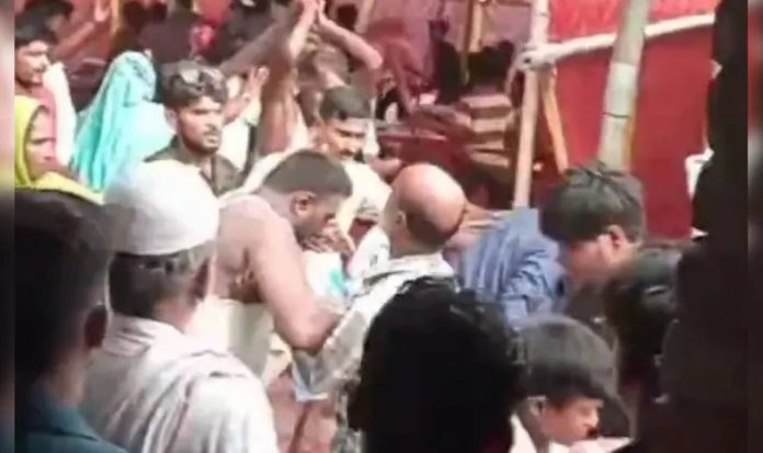 mutton fight